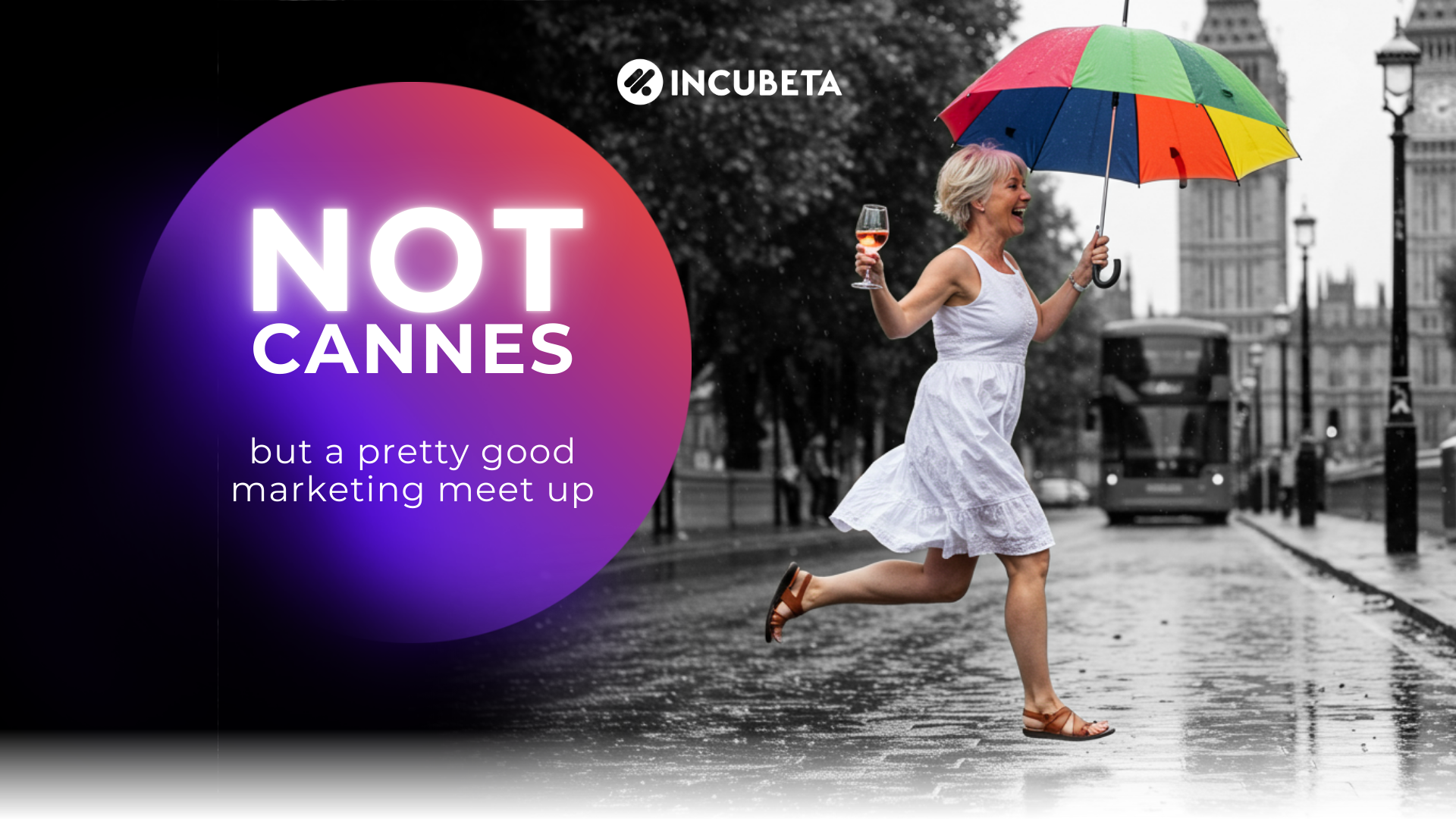 Not Cannes - LP Banner Not Cannes - LP Banner