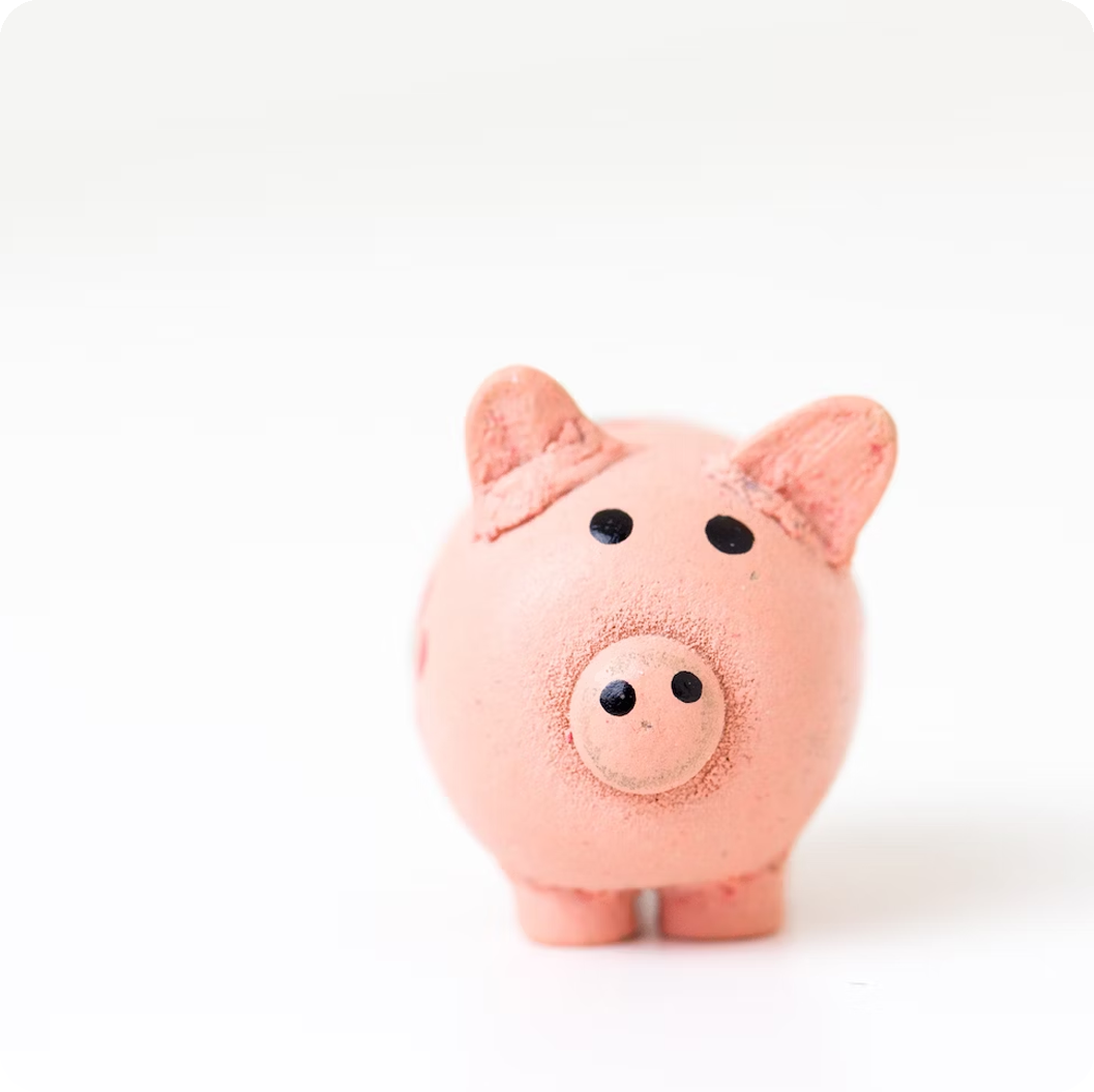 PIG_ICON-1 PIG_ICON-1